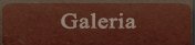 menu galeria